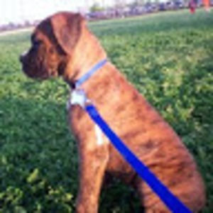 Meet your Posher, Randy